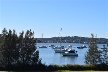 Yachts on the water