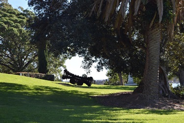 An outdoor art exhibition set amongst a grassed tree filled area