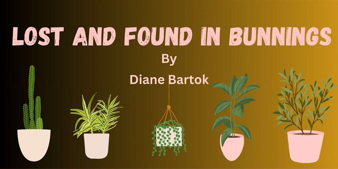 Lost and found in bunnings - play artwork