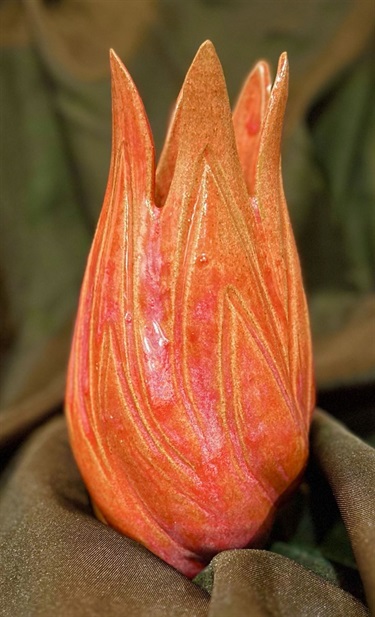 tulip